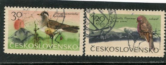 Чехословакия. Фауна. Птицы