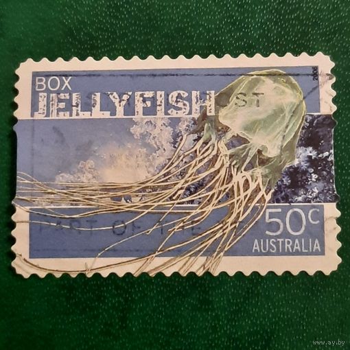 Австралия 2006. JellyFish. Медуза