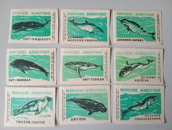 Спичечные этикетки ф.Ревпуть. Морские животные. 1966 год