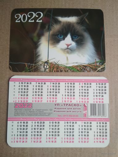 Карманный календарик . Котик. 2022 год