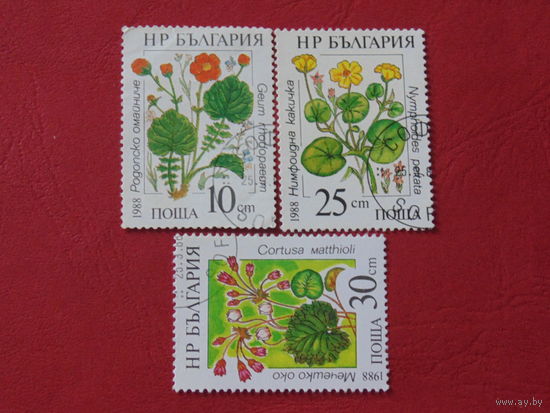 Болгария 1988 г. Цветы.