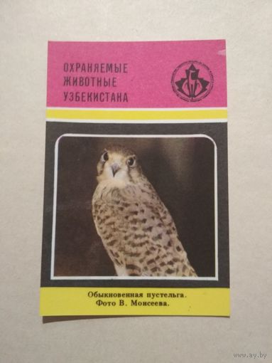 Карманный календарик. Охраняемые животные Узбекистана.1988 год
