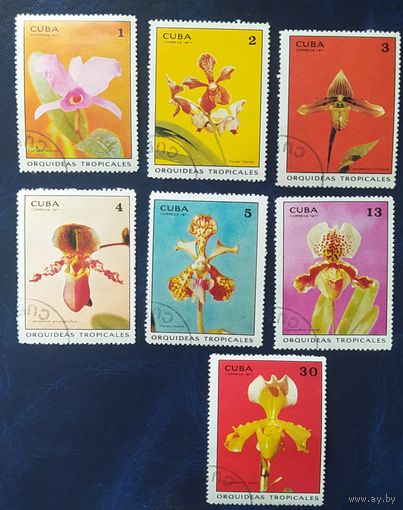 Куба 1971 цветы, Орхидеи