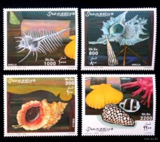 Сомали 2003, Моллюски, Ракушки. Раковины, ФАУНА   MNH