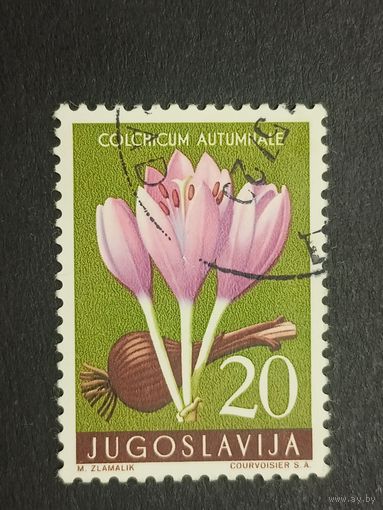 Югославия 1957. Местная флора