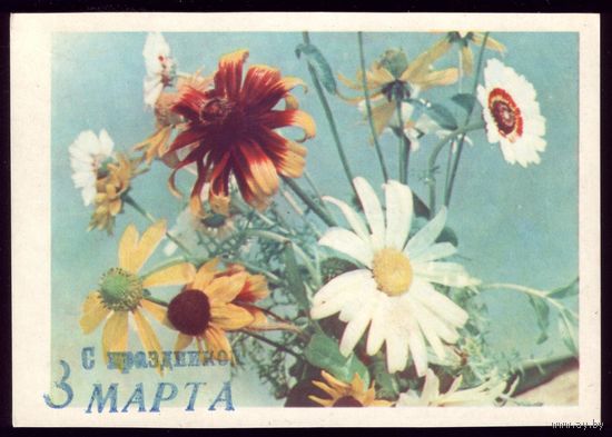 1965 год Т.Ананьина Цветы 2