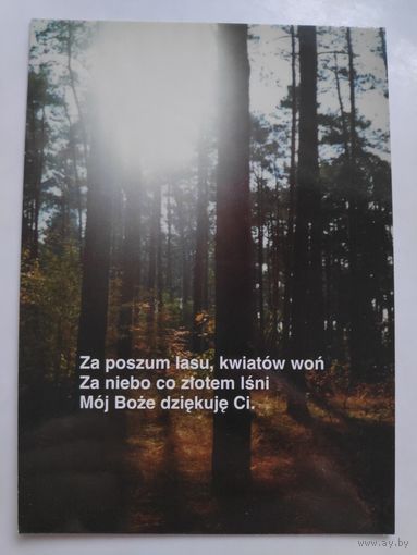 Открытка Лес. (на польском)