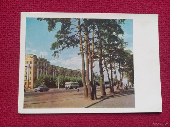 Минск. Ленинский проспект. Панова 1965 г. Чистая.