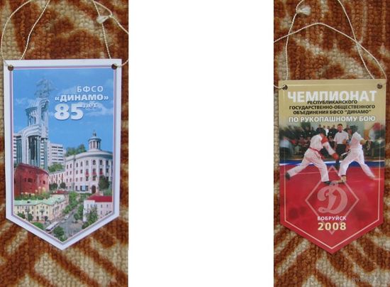 Вымпел БФСО Динамо