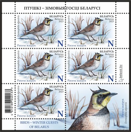 2023г Беларусь MNH Малый лист "Птицы – зимние гости Беларуси"