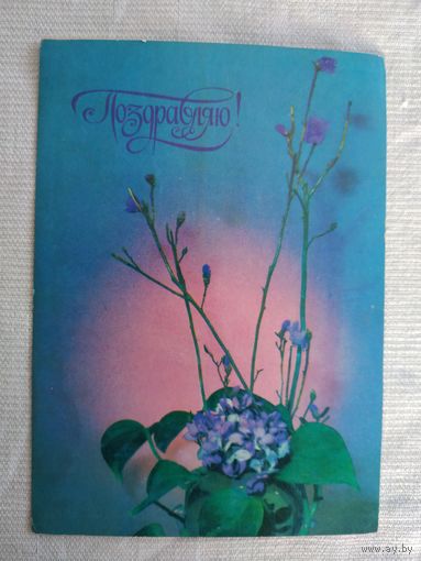 Открытка "Поздравляю!", изд-во "Планета", Москва, 1978, фото П. Шраго
