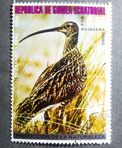 Марка Экваториальная Гвинея 1976 год Птицы