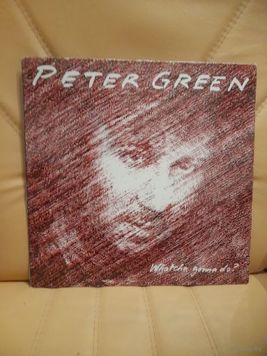 PETER GREEN ( FLEETWOOD MAC)  " WHATCHA GONNA DO?"  1981 LP GERMANY CREOLE REC.624600 - NM