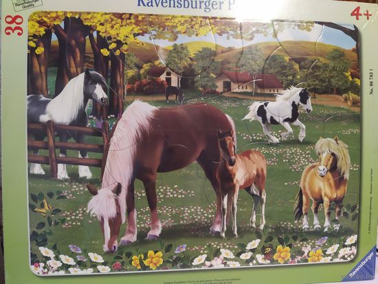 Паззлы Равенсбургер в рамке для самых маленьких одним лотом 5 ЕДИНИЦ,+3,4