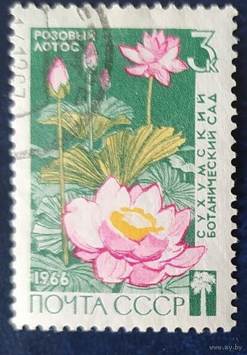 СССР 1966 Сухумский ботанический сад, цветы 1 из 3, без клея.
