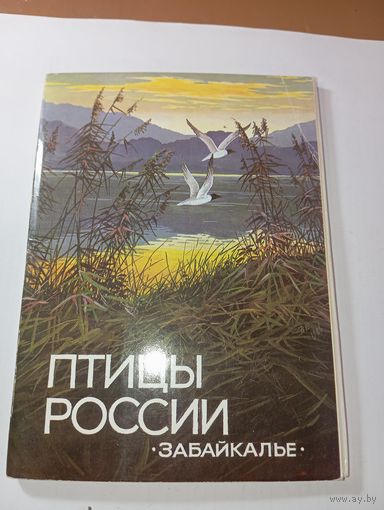Набор открыток - Птицы России Забайкалье 16 шт . СССР 1987 года .