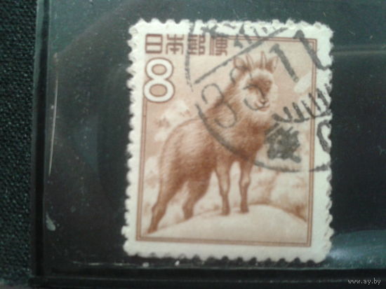 Япония, 1952. Японский серау