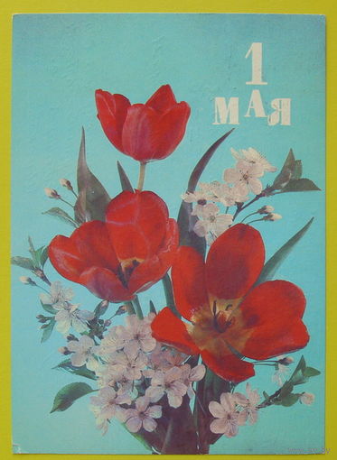 1 Мая! Подписанная. 1989 года. Дергилев.