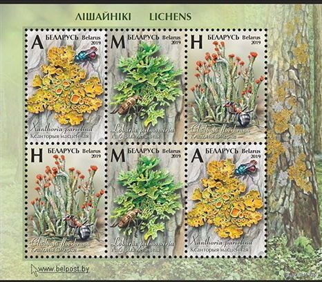 2019г Беларусь MNH Малый лист "Лишайники"