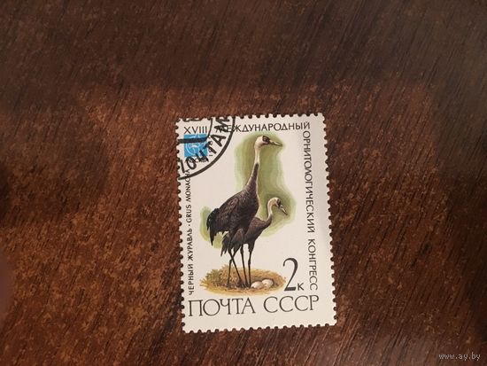СССР 1982. Черный журавль.