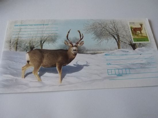 Конверт для почты. 2008г.