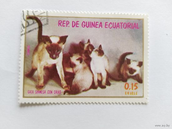 Эк.Гвинея 1972 коты