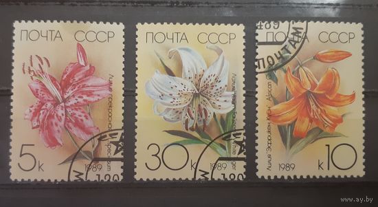 СССР. 1989 год. Флора. Цветы. Лилии