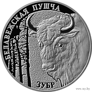20 рублей 2001 Зубр