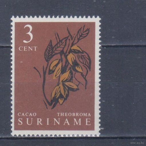 [935] Суринам 1961. Флора.Какао.Плоды. MNH