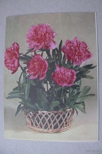 Круцко Б., Телеграмма, 1982, двойная, подписана.