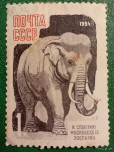 СССР 1964. Слон. К столетия Московского зоопарка