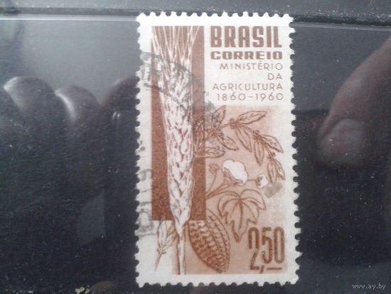 Бразилия 1960 Кофе и какао