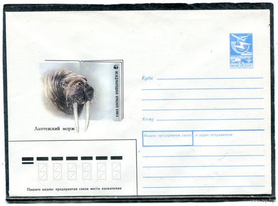 СССР 1989. ХМК. Конверт. Фауна. Лаптевский морж. Худ. А.Исаков