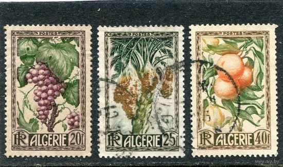 Французский Алжир. Флора. Фрукты страны