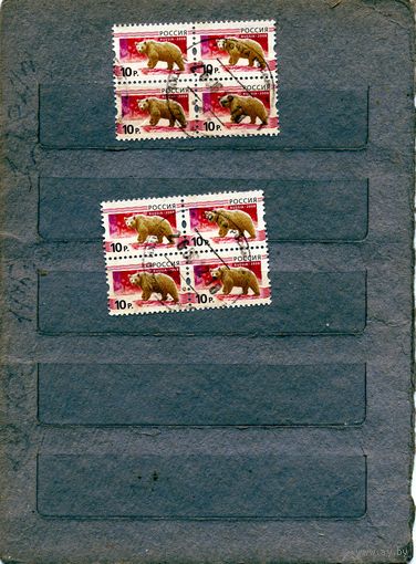 РОССИЯ, 2008,  ФАУНА, стандарт,  2 к/блока  по 1,20 за кваргашент,