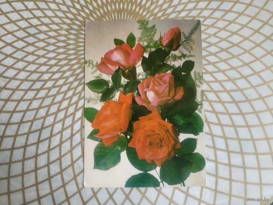 Открытка СССР 1983 год.   Чистая. И.Дергилев . Состояние на скане.