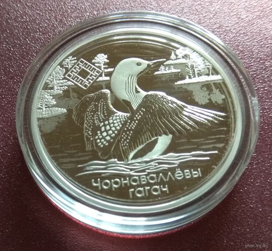 Заказник "Ельня". Чернозобая гагара. 1 рубль