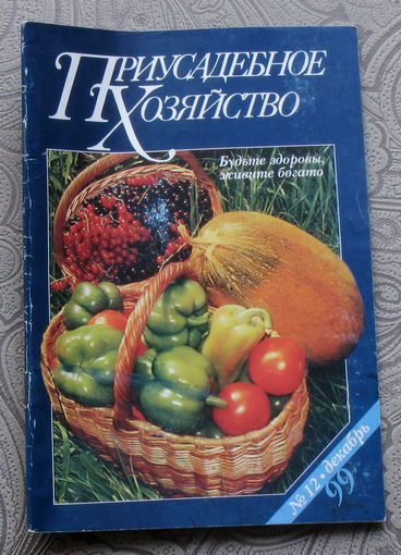 Приусадебное хозяйство 1999 номер 12