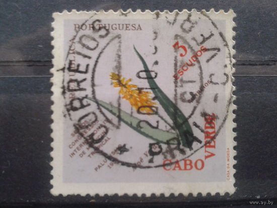 Кабо Верде, колония Португалии, 1958. 6-ой конгресс по тропической медицине. Mi-2,8 евро гаш.