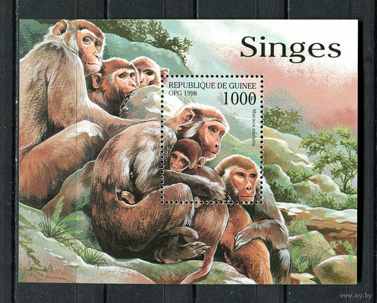 Гвинея - 1998 - Обезьяны - [Mi. bl. 542] - 1 блок. MNH.  (Лот 81HB)-T4P51