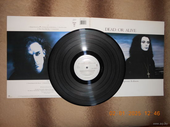 Dead Or Alive – Mad, Bad And Dangerous To Know  /LP