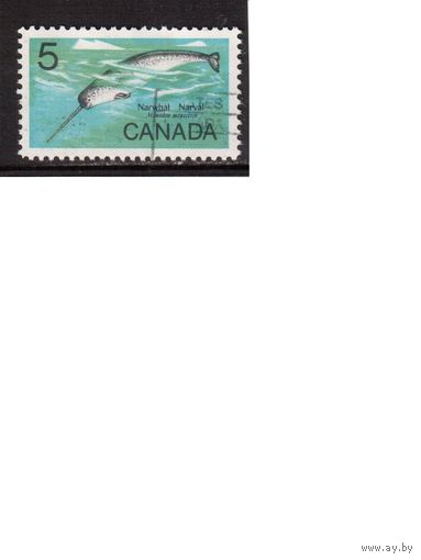 Канада-1968, (Мих. 421)  гаш. ,  Фауна,