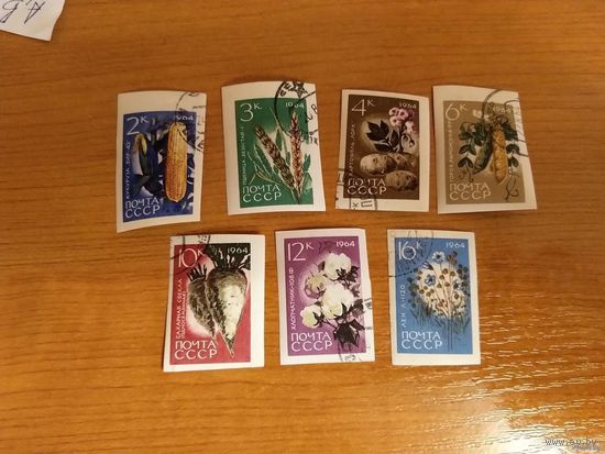 1964 СССР Загорский 2964-2970 флора полная серия клей MNH** (с-9)