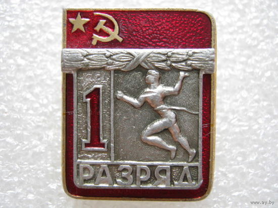 Бег, 1 разряд.