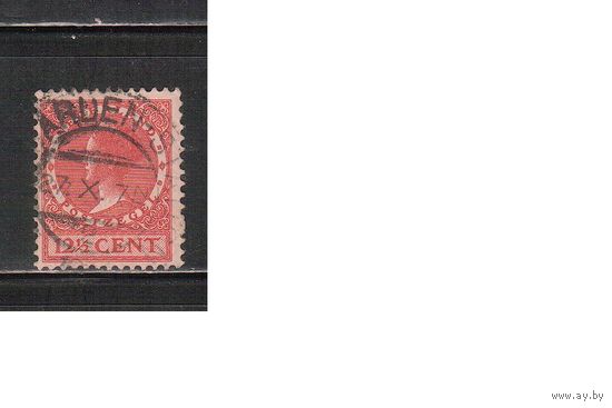 Нидерланды-1924,(Мих.155) гаш.,  ,Стандарт