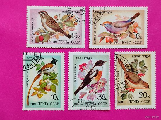 СССР. Певчие птицы. ( 5 марок ) 1981 года. 2-3.