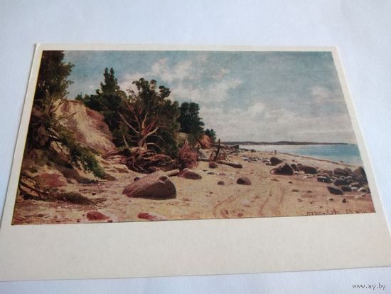 Открытка 1976г. И. Шишкин. Берег моря.