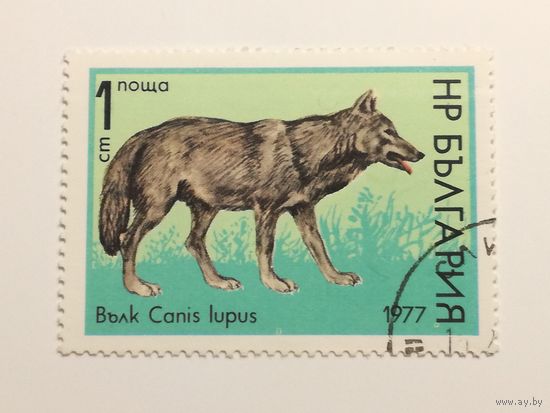 Болгария 1977. Дикие животные