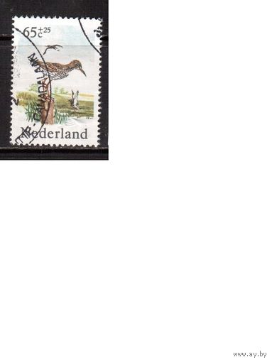 Нидерланды-1984,(Мих.1248) ,  гаш.,   Фауна, Птицы