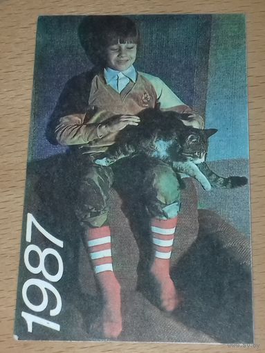 Календарик 1987 Кошки. Коты. Мальчик и кот